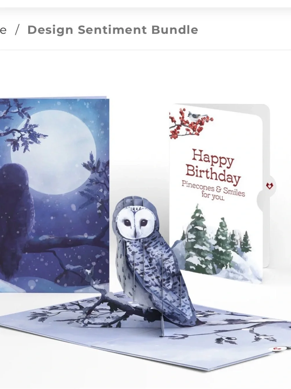 Love Snowy Owl & Cardinal 3D Pop-Up Card Set - White & Red